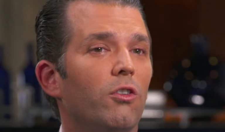 Don Jr Gets Brutally Destroyed For Claiming Slaves And Native Americans Had It Better Than His Dad Don Jr Gets Brutally Destroyed For Claiming Slaves And Native Americans Had It Better Than His Dad