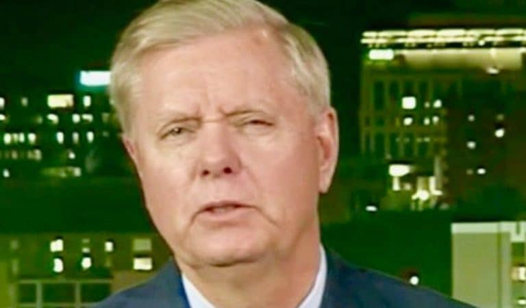 Lindsey Graham Ruins His Own Defense Of Trump As His Old Comments Come Back To Haunt Him Lindsey Graham Ruins His Own Defense Of Trump As His Old Comments Come Back To Haunt Him