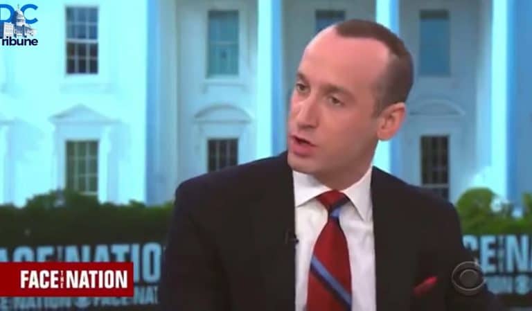 Trump Advisor Explodes On CBS, Shouts At Reporter For Asking Tough Questions About POTUS Trump Advisor Explodes On CBS, Shouts At Reporter For Asking Tough Questions About POTUS