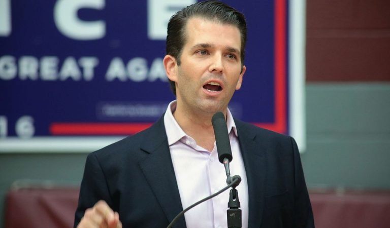 Donald Trump Jr. Just Committed Perjury, Lied To Congress; Faces Major Jail Time