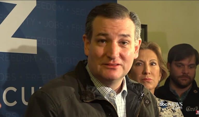 Ted Cruz Is Met With Shouts From Crowd Of People At Airport While He Waits For Luggage: “Free The Children”