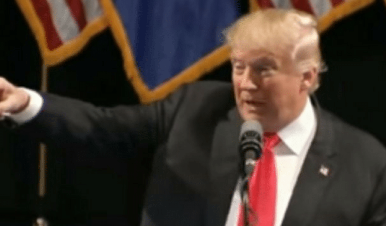 Trump Rally Gets Awkward As POTUS Acts Out MS-13 Gang Stabbing In Unhinged Speech