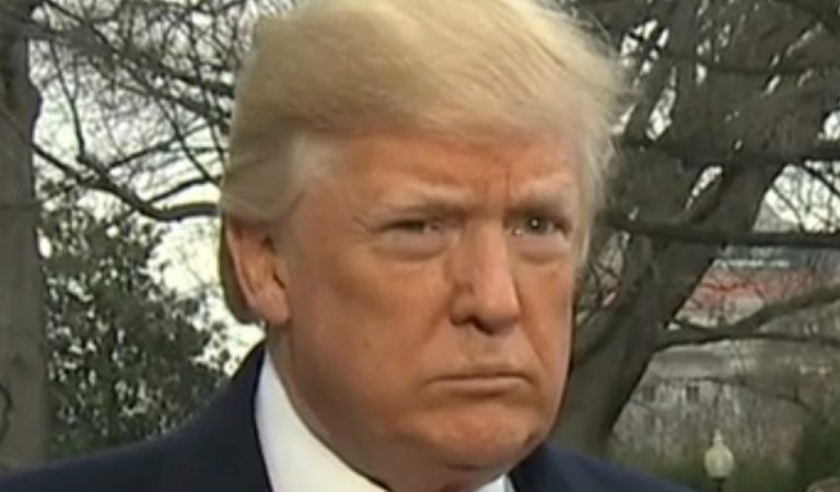 Trump Gives Lamest Excuse For Ditching Arlington On Veterans Day, Crumbles Seconds Later
