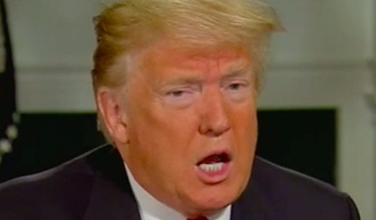 Trump Feeling Insecure After Caving To Pelosi, Makes Ridiculous Threat To Achieve Border Deal