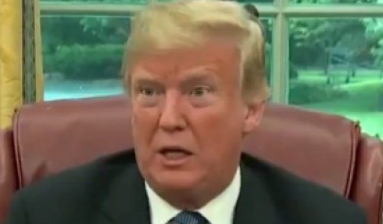 Video Shows A Fly Caught In Trump’s Hair During Speech