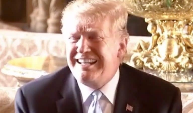 Delusional Trump Takes A Dig At Biden, Brags His Looks And Brain Are Better Than His