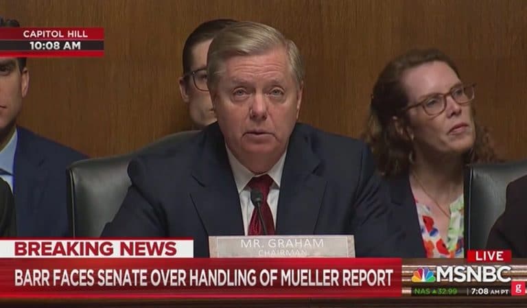 MSNBC Breaks Into Live Senate Hearing To Fact Check Lindsey Graham’s Lies
