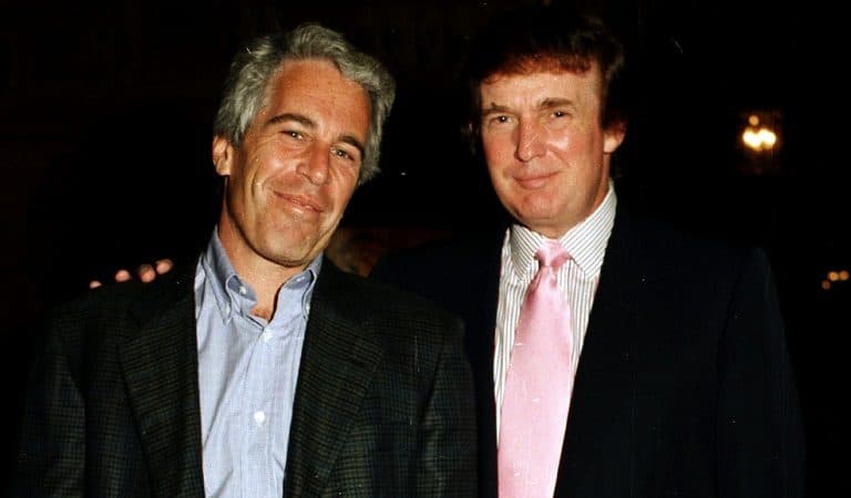 Jeffrey Epstein Just Bragged About Introducing Trump And Melania, POTUS Freaking Out