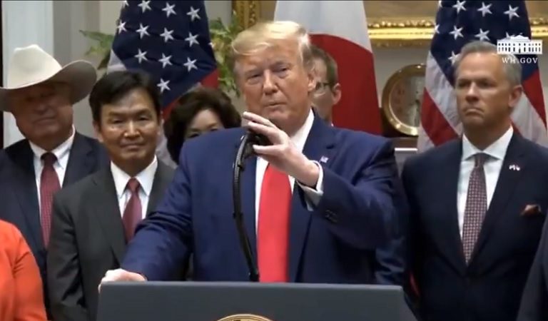 Calls To Remove Trump Via 25th Amendment Start Again As POTUS Rambles About Border Wall During Trade Meeting With Japan